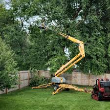 Best Tree and Shrub Care  in Dakota Dunes, SD